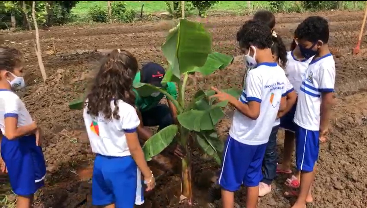 EduFlix — Acervo Digital de Aulas